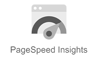 Google Page Speed Insights BW